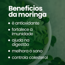 Moringa 100% Pura - Qualidade Premium