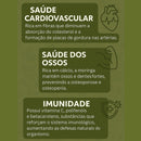 Moringa 100% Pura - Qualidade Premium