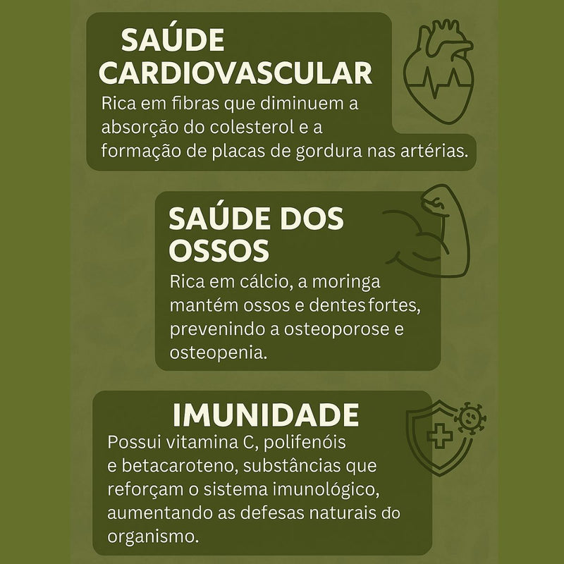 Moringa 100% Pura - Qualidade Premium