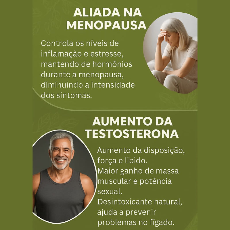 Moringa 100% Pura - Qualidade Premium