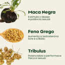 Combo Maca Peruana Negra + Tribullus + Feno Grego em Cápsulas - Premium Empório Terra Nativa