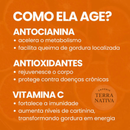 Laranja Moro 100% Pura - Qualidade Premium