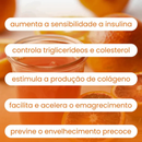 Laranja Moro 100% Pura - Qualidade Premium