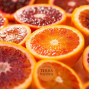 Laranja Moro 100% Pura - Qualidade Premium