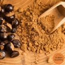 Guaraná em Cápsulas 100% Pura - Empório Terra Nativa