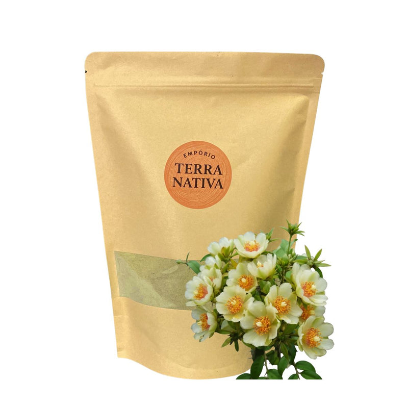 Ora-Pro-Nobis- 100% Pura - Qualidade Premium