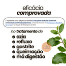 Espinheira Santa Pó - Empório Terra Nativa