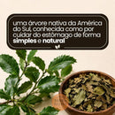 Espinheira Santa Pó - Empório Terra Nativa