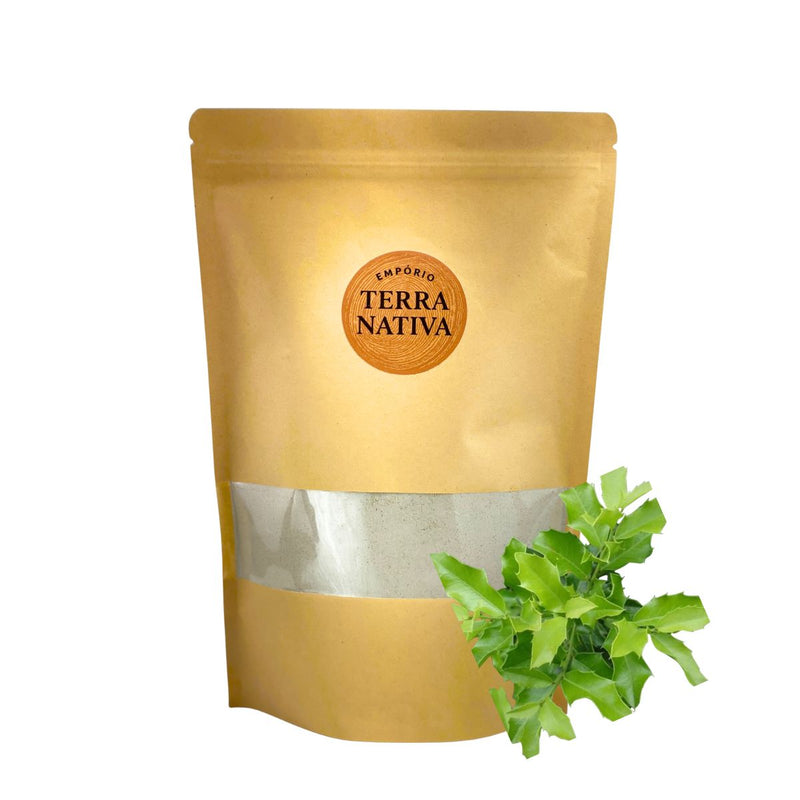 Espinheira Santa Pó - Empório Terra Nativa
